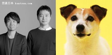 汪星人的住房需求，你懂嗎？電影攝制服務(wù)的視角